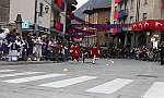 Gara delle Bighe 2011-7743
